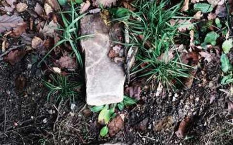 电动汽车驾驶证考试内容有哪些