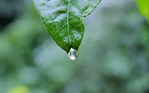 斯巴鲁汽车的油箱盖开关在哪里？