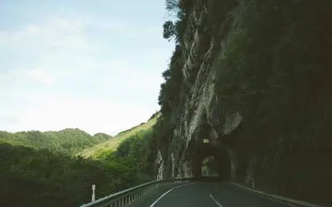 雷凌混动车型可以申请绿牌吗？